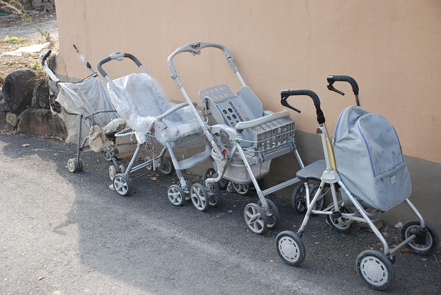 Free Parking Granny Essentials photo and picture