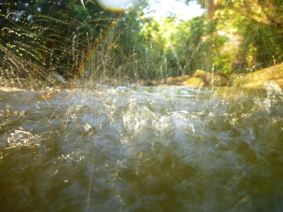 Agua Río Naturaleza - Foto gratis en Pixabay - Pixabay