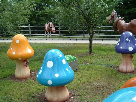 Spielerisch, Pilze, Spaß, Amüsement
