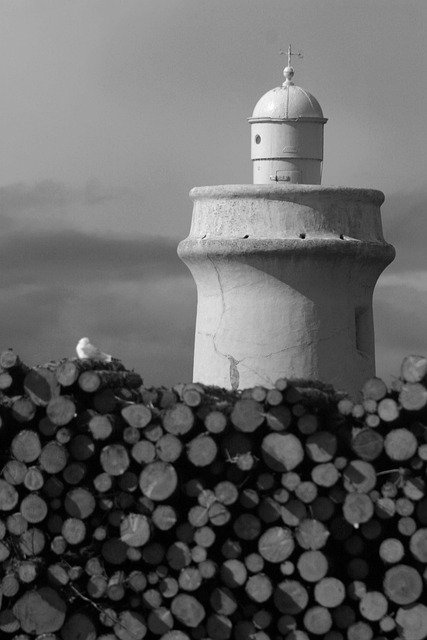 Free Lighthouse Harbor photo and picture