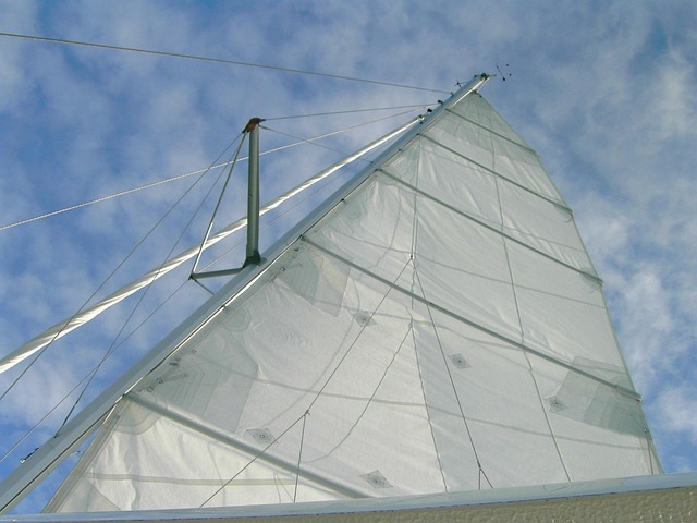 Free Sail Sailboat photo and picture