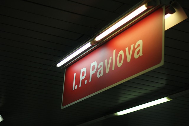 Prag, U Bahn, Pawlowa