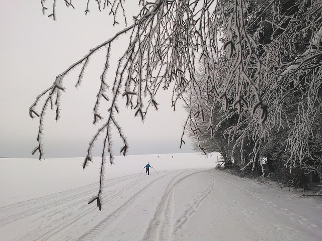 Free Cross-Country Skiing photo and picture