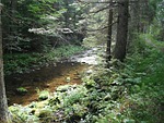 brook, rivulet, stream