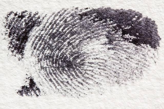Download free HD stock image of Fingerprint Dactylogram Free Fingerprint Dactylogram photo and picture
