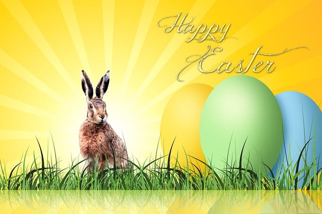 Free eggs multicoloured rabbit illustration