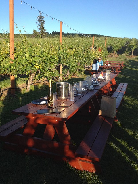 Free Winery Summer photo and picture