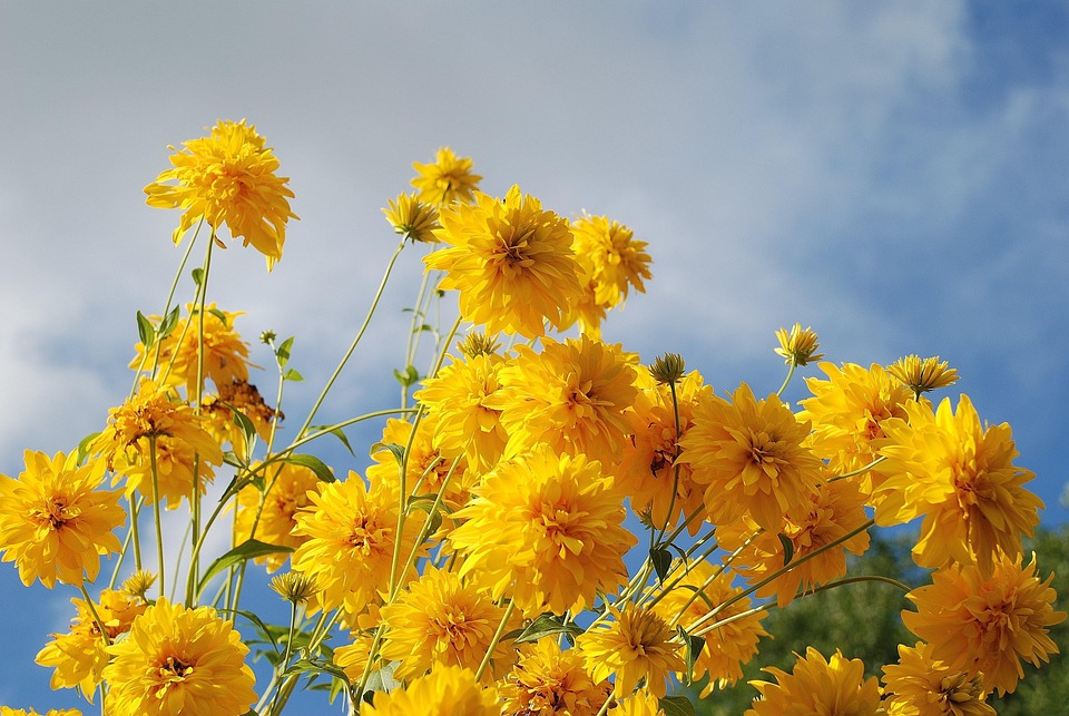 Yellow Storm Alert Issued by National Meteorological Service for Argentina - News Directory 3