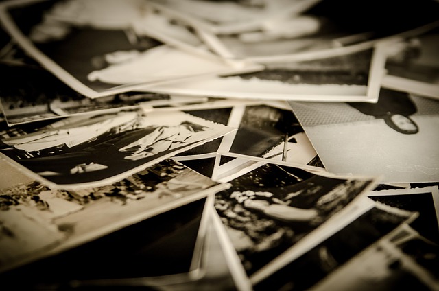 Free Photography Photographer photo and picture