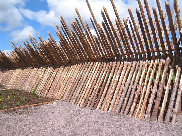 Free Fence Interferes photo and picture