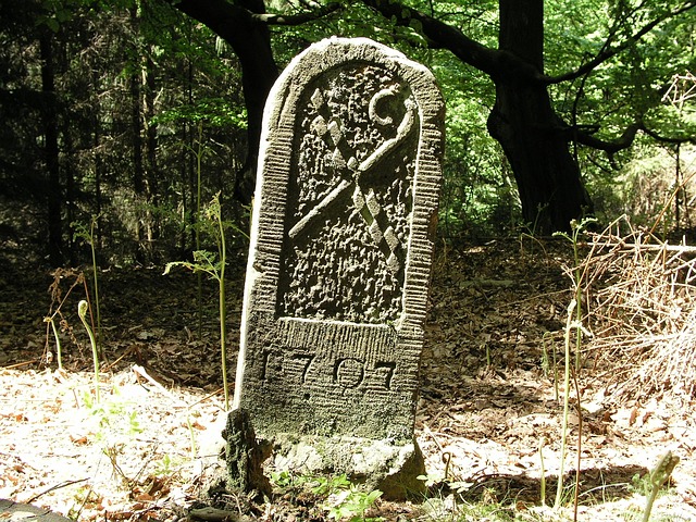 Free Landmark Forest photo and picture