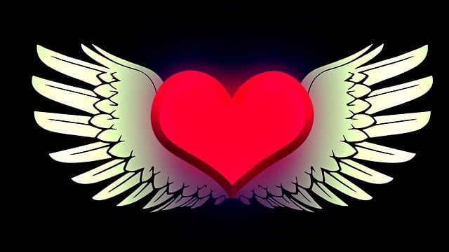 Download free HD stock image of Heart Wing Free heart wing love illustration