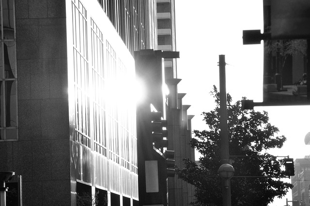Dallas, Centro, Luz De Sol, Edificios
