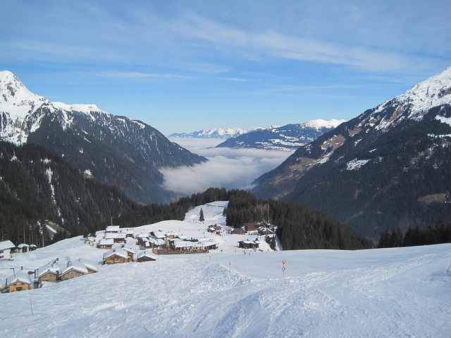 Free Ski Slope Ski Area photo and picture