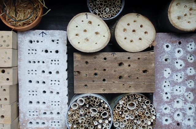Insect Hotel Insects House - Free photo on Pixabay - Pixabay