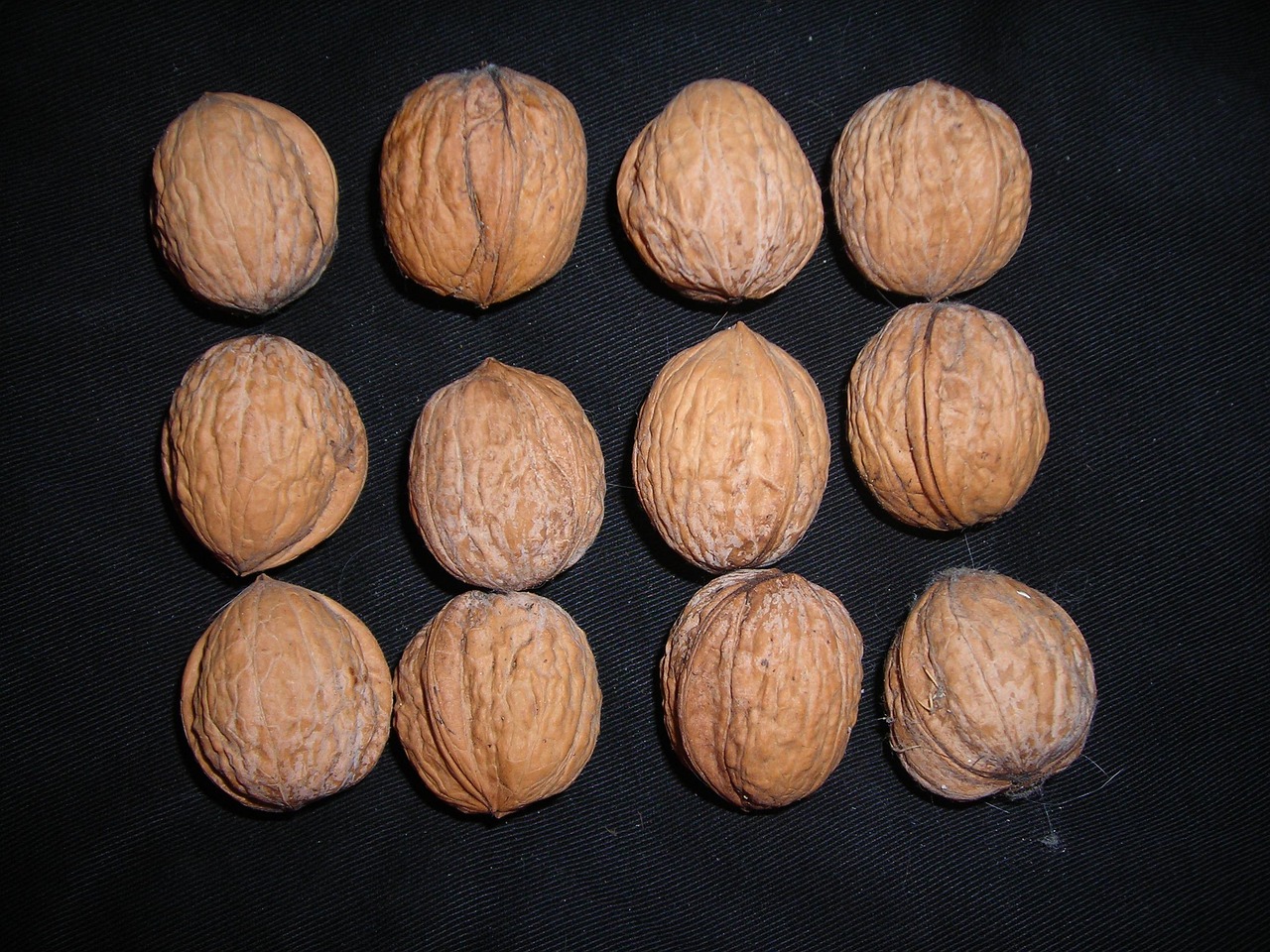 Nuts Walnuts Buttons Free photo on Pixabay Pixabay