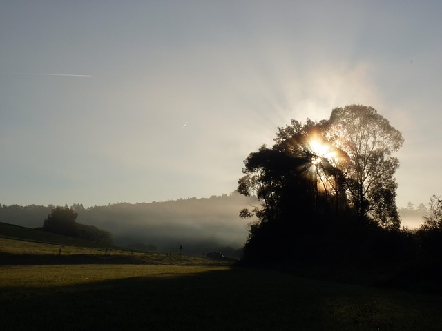 Free Sunrise Light photo and picture