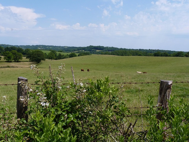 Paysage Lot Champ - Photo gratuite sur Pixabay - Pixabay
