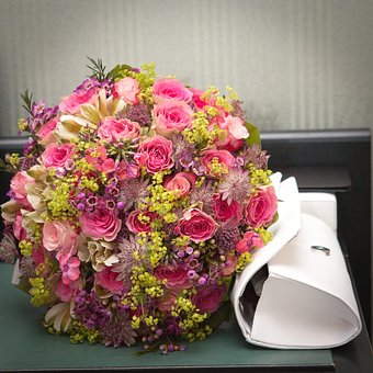 Free Flowers Flower Wallpaper photo and picture