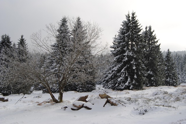 Resina, Casa De Turba, Invierno, Nieve