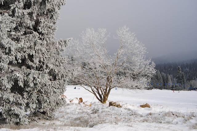 Resina, Casa De Turba, Invierno