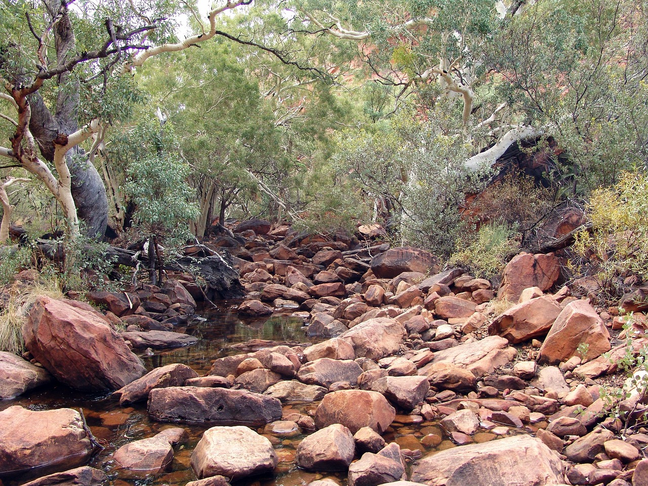 Download free HD stock image of Riverbed Path Free Riverbed Path photo and picture