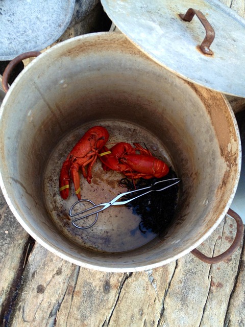 Free Lobster Lobster Pot photo and picture