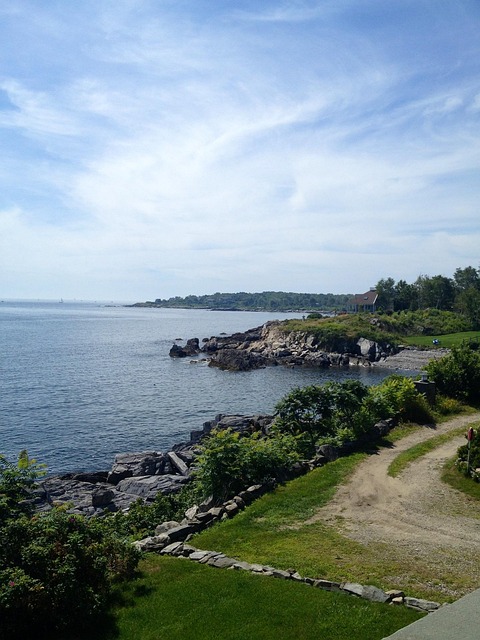 Free Cove Coast photo and picture