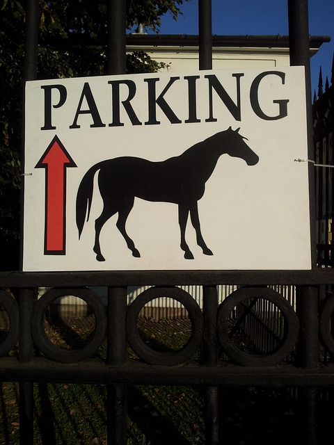 Free Parking Nature photo and picture