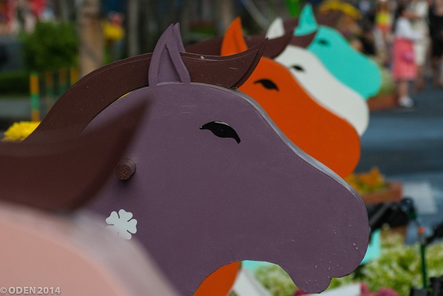 Free Horses Horse Head photo and picture
