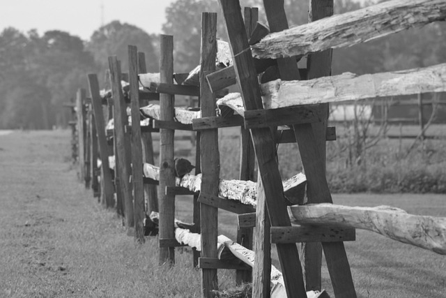 Free Wood Fence Splitrail Fence photo and picture