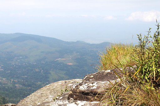 Peisaj, Natural, Delthota