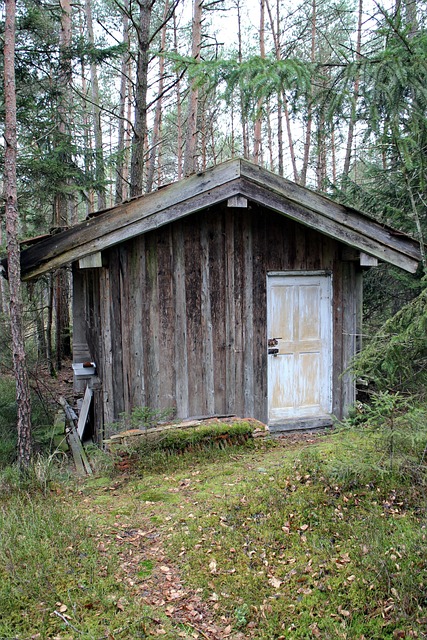 Darf Ich In Meinem Wald Eine Hütte Bauen Kostenloses Foto: Hütte, Haus, Holzhaus, Holzhütte - Kostenloses Bild