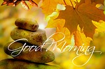 good morning, autumn, tree