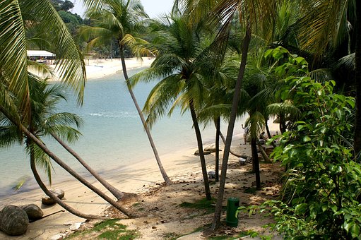 Free Tropical Beach photo and picture