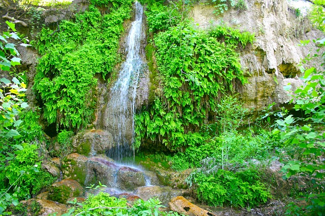 Free Waterfall Nature photo and picture
