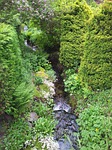 streams, flowing, water
