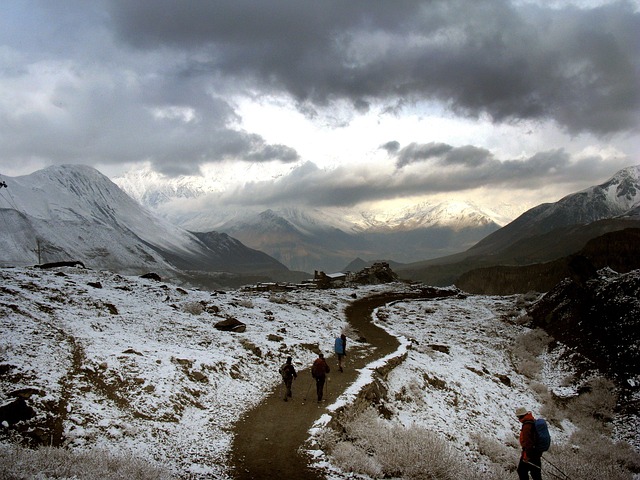 Free Winter Snow photo and picture
