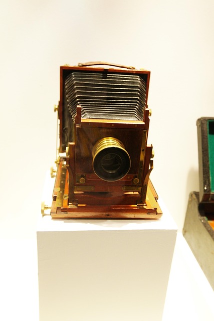 Free Camera Curios photo and picture