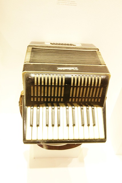 Free Accordion Instrument photo and picture