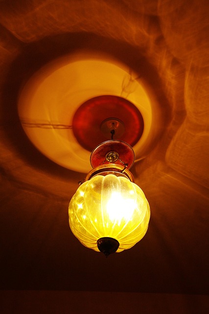 Free Light Contrast photo and picture
