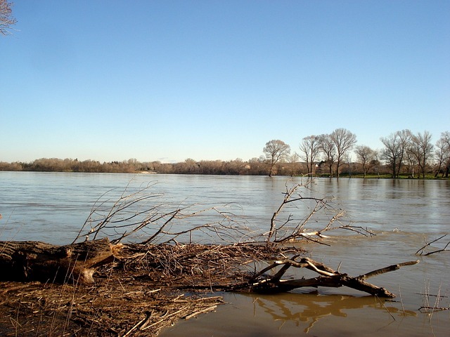 Rhone, Flod, Natur