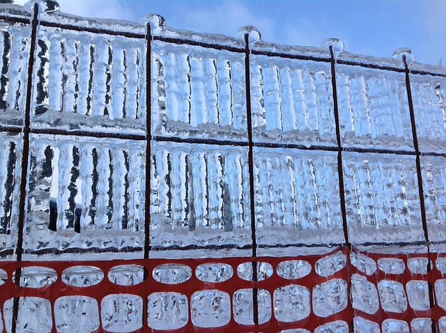Free Fence Frozen photo and picture