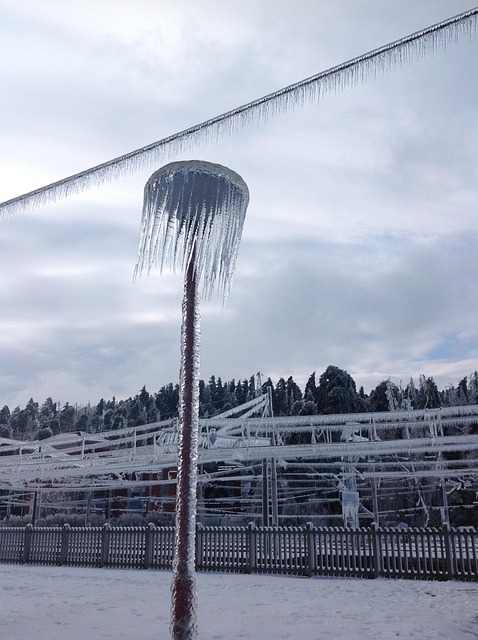Free Ice Frozen photo and picture