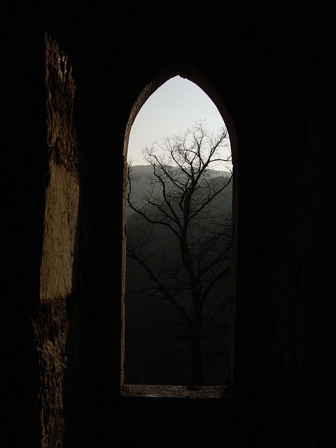 Free Castle Ruin photo and picture