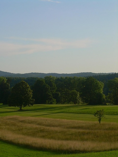 Free Nature Summer photo and picture