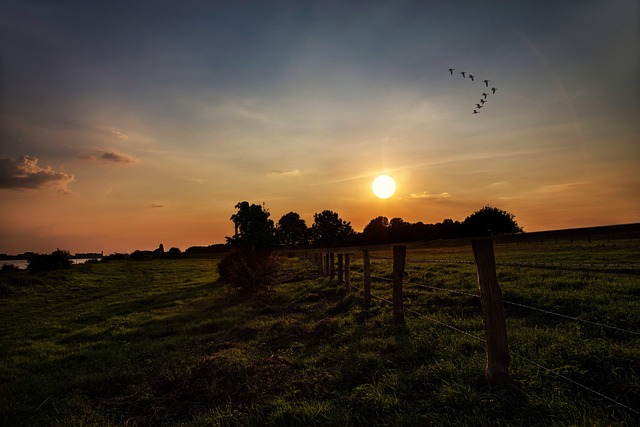 Free Sunset Evening Sky photo and picture