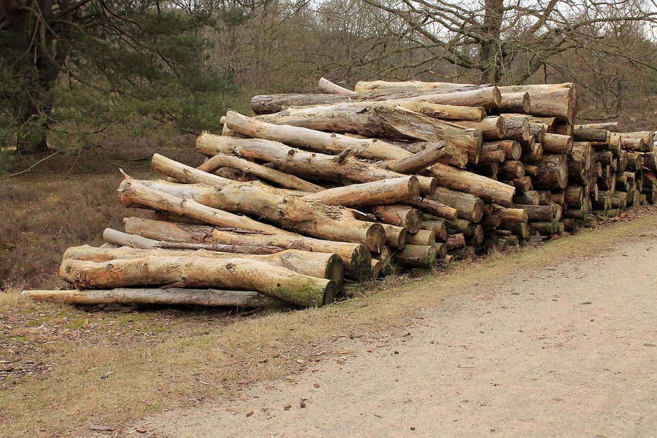 Free photo Cut The Logs, Stacked Free Image on Pixabay 267278