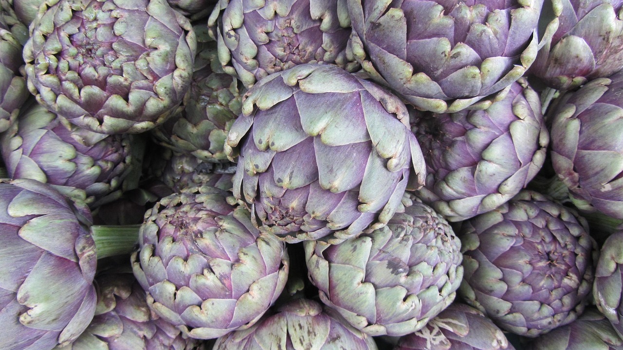 Artichoke - free online jigsaw puzzle photo