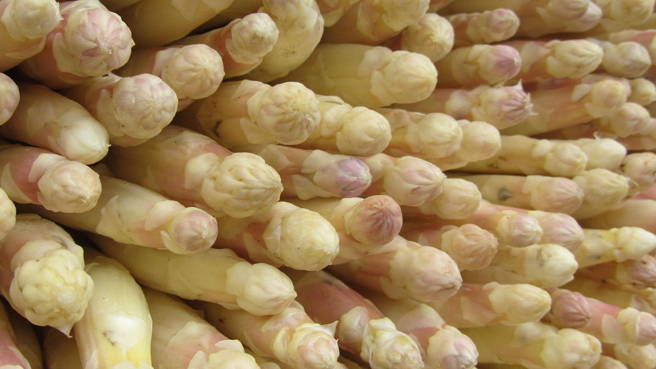 Asparagus - free online jigsaw puzzle photo